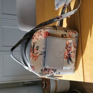 Celine Dion backpack purse.